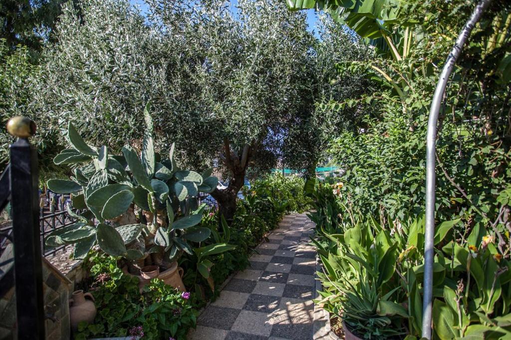 Bali Dorian Apartments Dış mekan fotoğraf