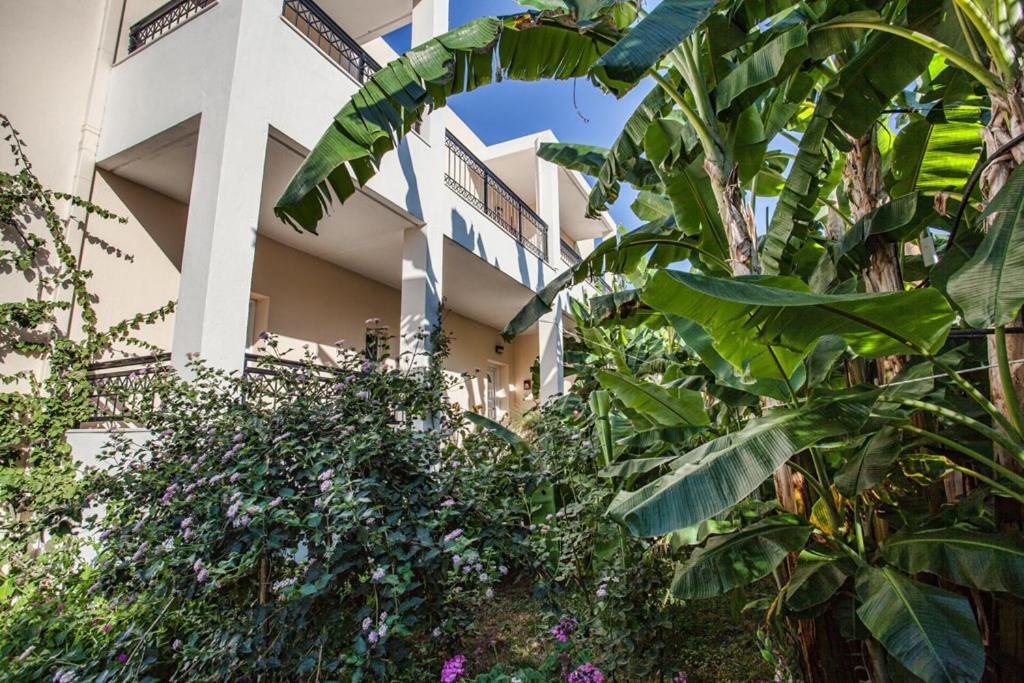Bali Dorian Apartments Dış mekan fotoğraf